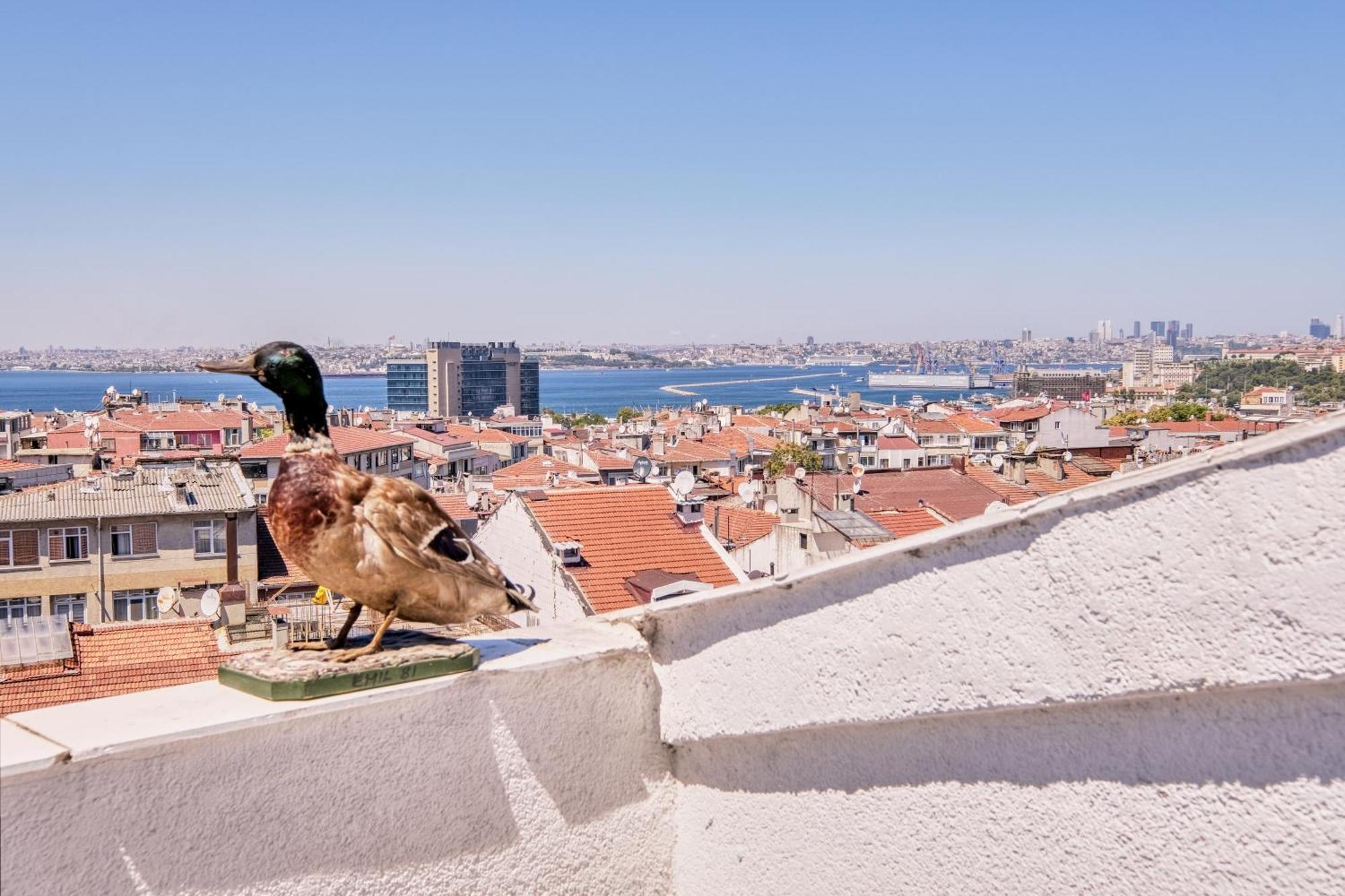 Duck Otel Stambuł Zewnętrze zdjęcie